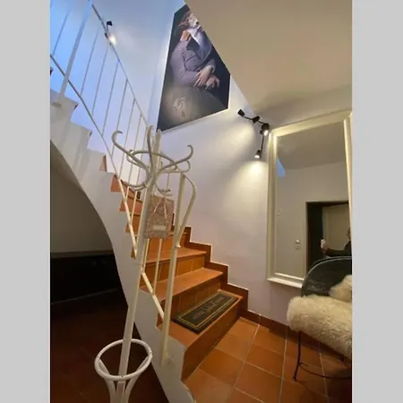 Terrassen Ueber Den Daechern Von Krems an der Donau