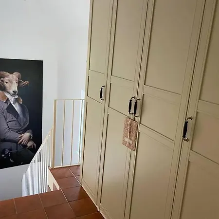 Lejlighed Terrassen Ueber Den Daechern Von *