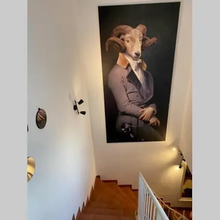 Terrassen Ueber Den Daechern Von * Krems an der Donau